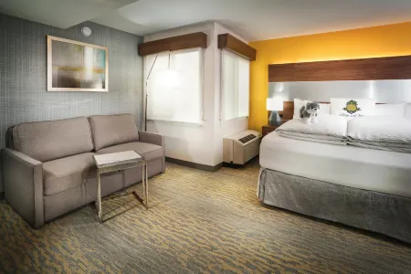 Staypineapple, Hotel Z, Gaslamp Quarter San Diego