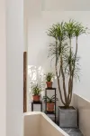 Little Garden