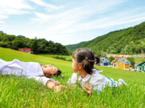 DATANG SARNATH International Forest Resort Hotels in Xunyi