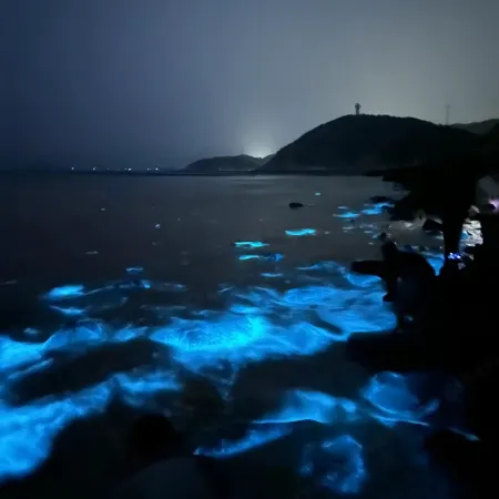 pingtanyikelai