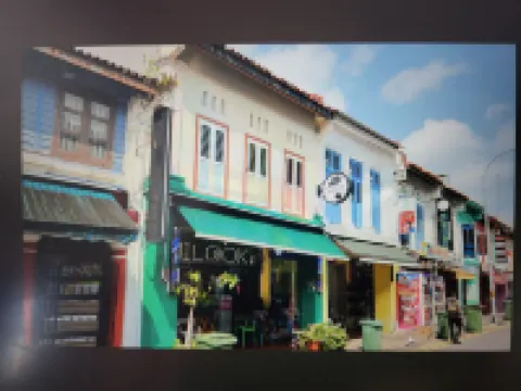 Canopy Cove CoLiving