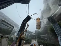 Yun qi shan su - Pet friendly
