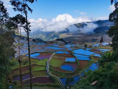 Scarecrow Garden Inn Hotels near Bada Scenic Area