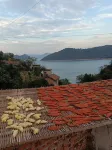 Zixing Dongjiang Lake Hongmei Farmstay - pemandangan pegunungan