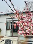 qingzhouyunmengjuminsu - สัตว์เลี้ยง