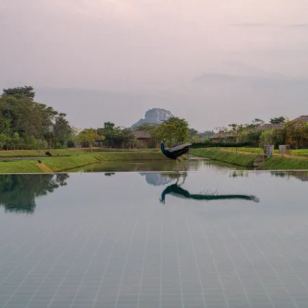 Water Garden Sigiriya - 30 Chic Designed Private Villas Overlooking Sigiriya