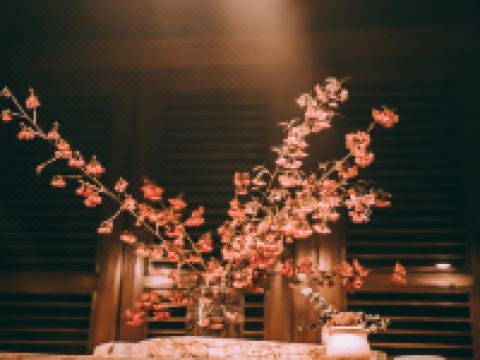 攀枝花隐山岚民宿 - 其他