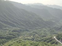 神农架山水上茶农家乐 - 普通双人间