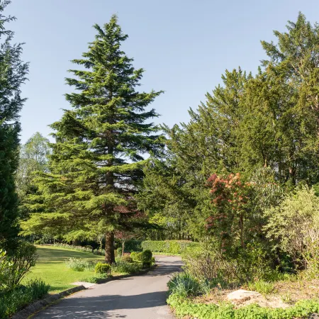 Windermere Manor Hotel