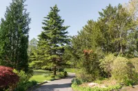 Windermere Manor Hotel - Mountain view