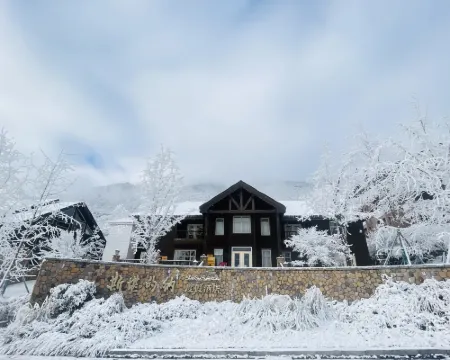 Scandina Resort Hotel Hotels in Dayi
