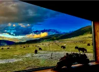 Yuke Ranch Wild Luxury Homestay - Mountain view