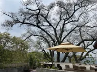 San Tree Hotel Các khách sạn ở 