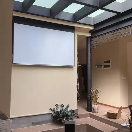 Jin Xi villa homestay