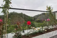 縉雲後山小院（仙都観光地） - マウンテンビュー