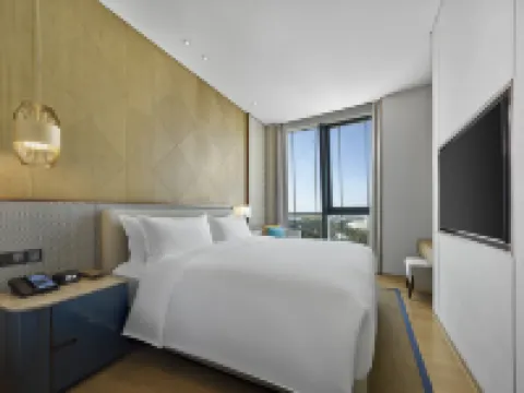 HILTON HAINAN OCEAN FLOWER ISLAND Hotels in Danzhou