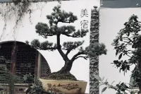 Jinyun Waterfront Jingshe Boutique Stay Homestay 진윈후전/금운호진 주변 호텔