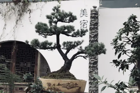 Jinyun Waterfront Jingshe Boutique Stay Homestay Отели рядом с достопримечательностью «Huzhen Station»