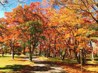 ホテル周辺 軽井沢プリンスホテル ウエストの写真