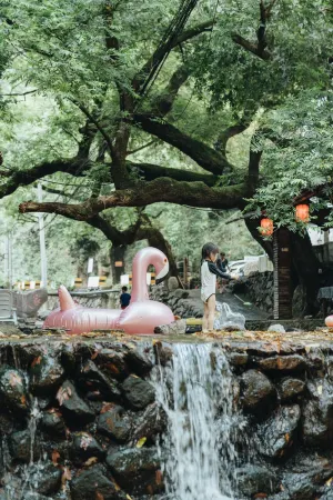 Rock Rose Holiday Hostel Отели в г. Тунлу