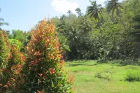 Hotel Family Syariah 1 Hotels near Cemara Sewu Beach