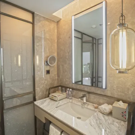 Mercure Realm Hotel (Danyang Government Pharmaceutical Vocational College Branch)