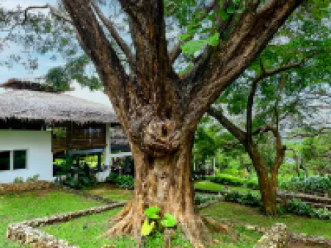 ดิ ดรีม บีช รีสอร์ท โรงแรมในTaytay