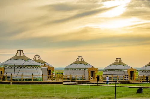 Mongolian Charm Wild Luxury Campsite (China-Russia Border Wetland Scenic Area) - Homestays