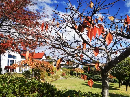 Kelvin Garden Villa Отели рядом с достопримечательностью «The Helicopter Line, Queenstown»