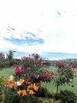 Xinhua County Ziqueyunju Agricultural Development Co., Ltd. - Mountain view