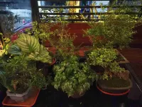 Suzhou pillow window listening to rain sauna hotel