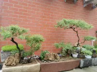 Dengfeng Shaolin Holiday Boutique Homestay