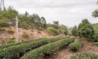 Wuyishan Spring Homestay