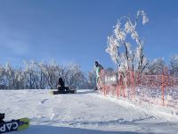 吉林松花湖企鹅滑雪公寓滑雪影像 - 其他