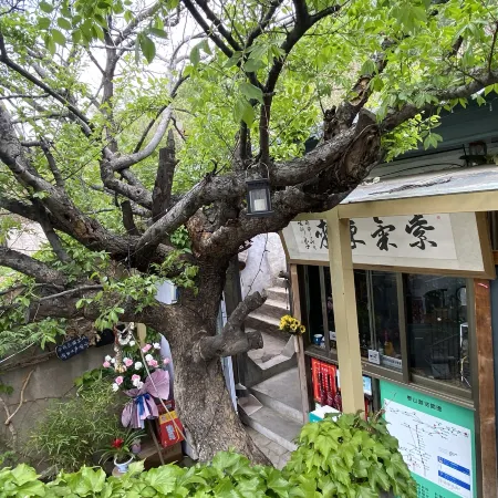 Tai'an Ziqi Donglai Inn