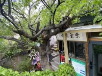 Tai'an Ziqi Donglai Inn - Inns