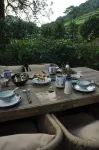 Lionhill Green Teavilla  Private Hotel, Hangzhou - Mountain view