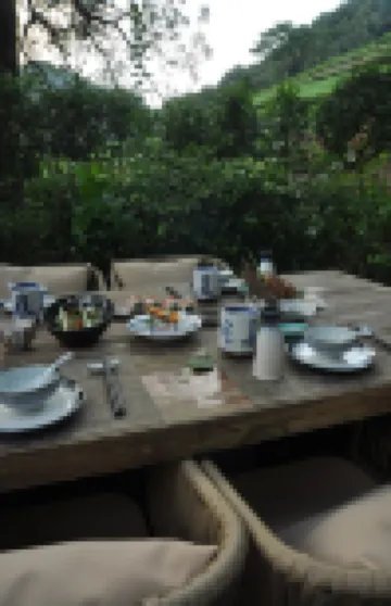 Lionhill Green Teavilla  Private Hotel, Hangzhou