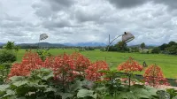 NAN Seasons Boutique Resort - Wifi