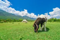 LiJiang · Muyeju · Yunshui Yazhu · Snow Mountain View Vacation Boutique Stay (Baisha Old Town)