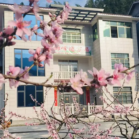 Lingfeng Yichen Ju Homestay