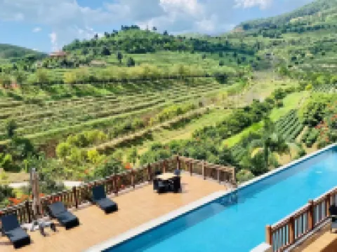 The Nest Tea Estate Resort Hotels in Shuangjiang