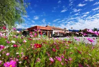 Hilton Linzhi Resort