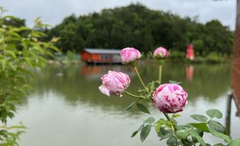 Shilihong Rhododendron Farm