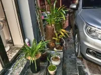 Youjian Homestay (Border City Chatong Scenic Area) Các khách sạn ở Hoa Viên