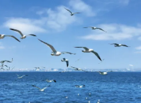 惠安•朋來 ▏Gwyneth•AdesignersHouse酒店（城南工業區華龍東路店） 鄰近洛陽橋的酒店