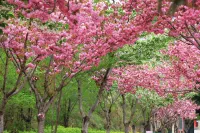 鵝嫚隠廬全季民宿（官鵝溝大景区） - マウンテンビュー