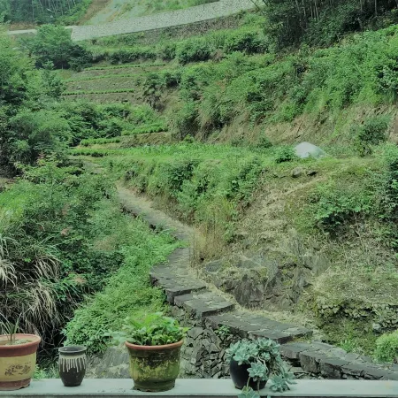 Songyang Xiluo Tingquan Homestay