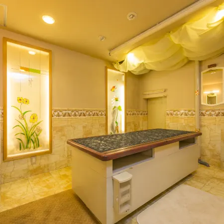 Akizuki Spa Ryokan Seiryuan