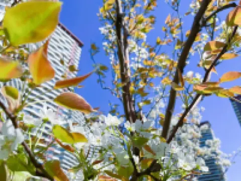 JIUZHOU Kyuzhou Seaview Holiday Apartment (Dongdaihe Platinum Sea Branch)